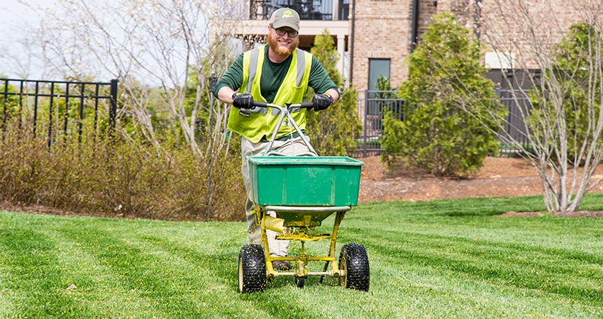 Knoxville Lawn Care