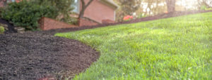 Landscaping Knoxville
