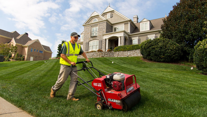 Knoxville Areation and Overseeding